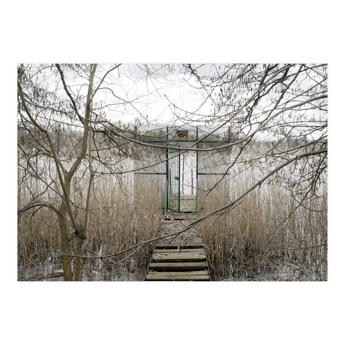 The gate to the lake (Print Only)