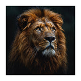 Majestic Lion Portrait In Gentle Rain (Print Only) thumbnail