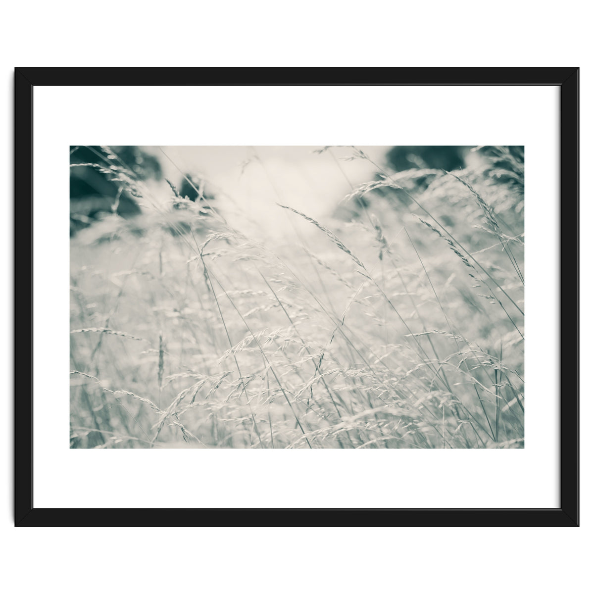 Walking Through Long Grass