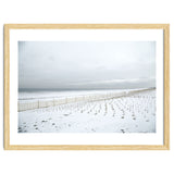 Winter grass in snow beach thumbnail