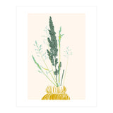 Plant based happyness Grasses 2 still life (Print Only) thumbnail