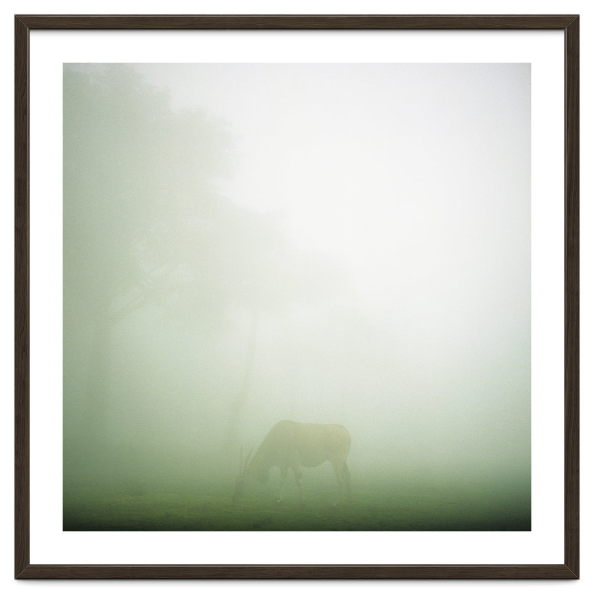 Silence of breath - 09