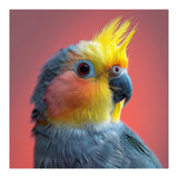 Cockatiel Parrot Head Close Up Portrait (Print Only) thumbnail