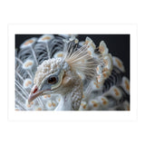 Close Up Albino Peacock Bird Portrait (Print Only) thumbnail