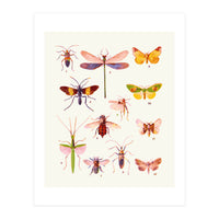 Beautiful Creatures (Print Only)