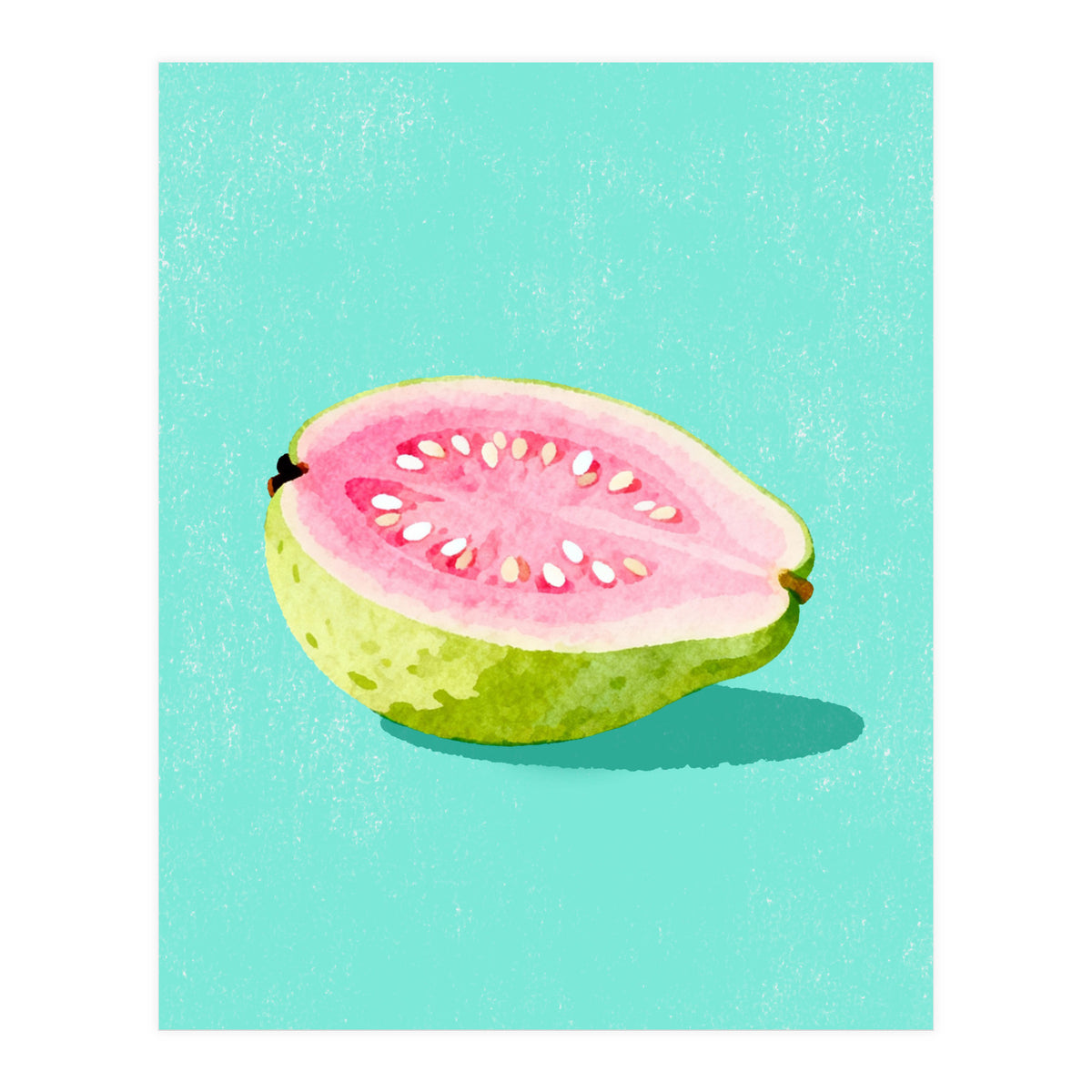 Guava Fruit Illustration (Print Only)