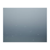 Flying Segulls in thet winter sky (Print Only) thumbnail
