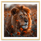 Majestic Lion Resting Among Orange Flowers thumbnail