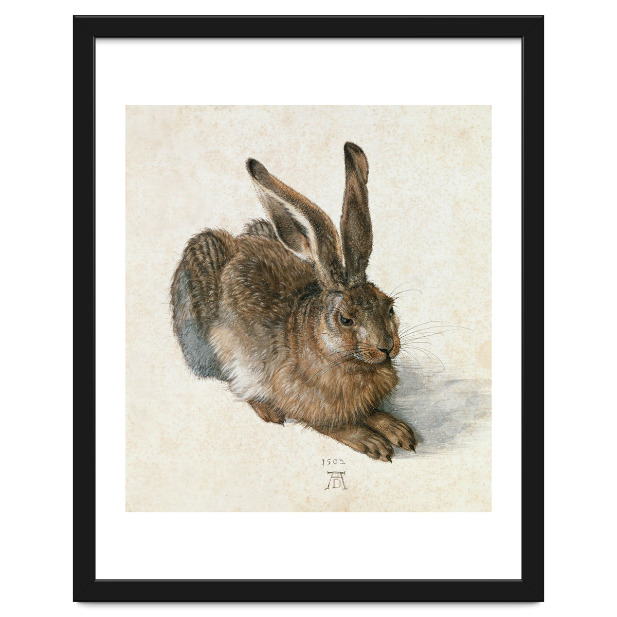 Hare-Hase. Watercolour.