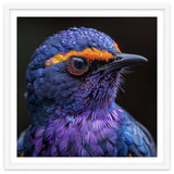 Close Up Portrait Of A Vibrant Exotic Bird thumbnail