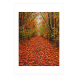 Lush Autumn Forest Path Covered (Print Only) thumbnail