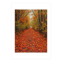 Lush Autumn Forest Path Covered (Print Only)