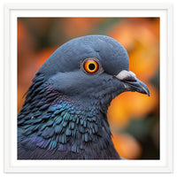 Close Up Of A Pigeon's Head And Neck