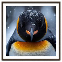Close Up King Penguin In The Snow