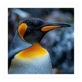 Close Up Of King Penguin In The Rain (Print Only) thumbnail