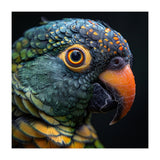 Close Up Of A Colorful Parrot's Face (Print Only) thumbnail