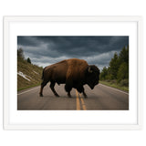 Bison on the Road , Yellowstone Wildlife Photography thumbnail