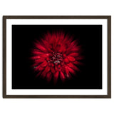 Backyard Flowers No 45 Color Flow Version thumbnail