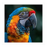 Close Up Of A Colorful Macaw Parrot (Print Only) thumbnail