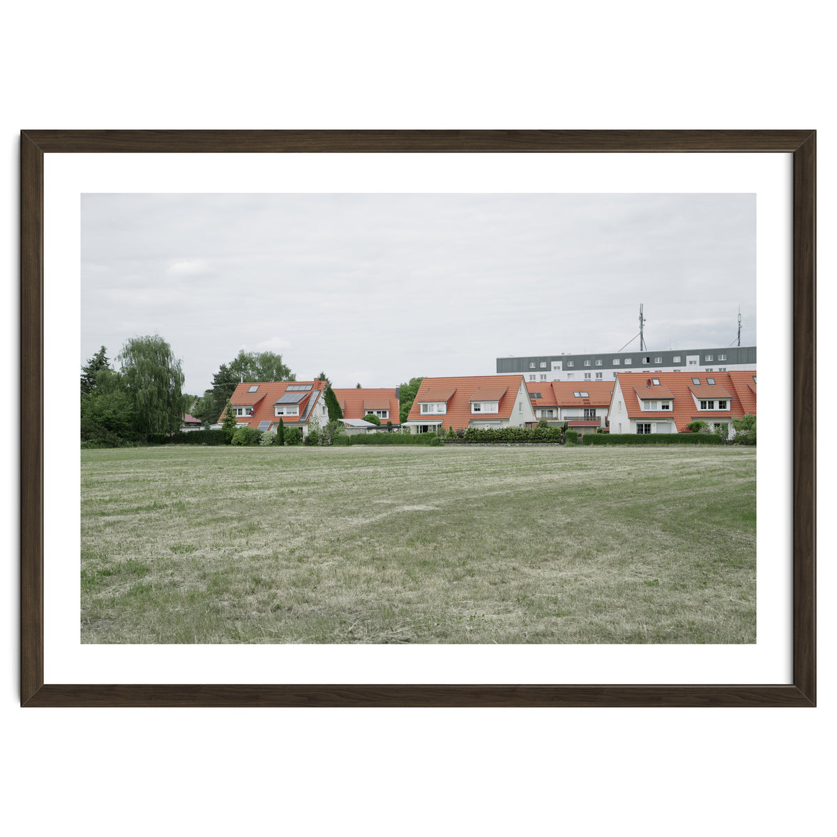 Red roof houses in the green field