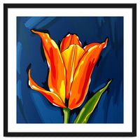 Lily Fresh