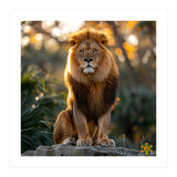 Majestic Lion Sitting On A Rock At Sunset (Print Only) thumbnail