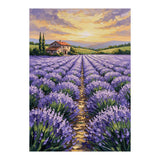 Visions of Provence (Print Only) thumbnail