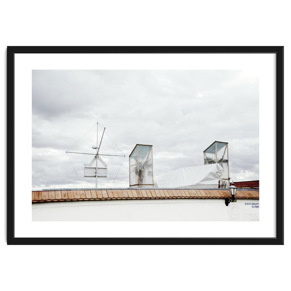 Palm tree waiting for summer