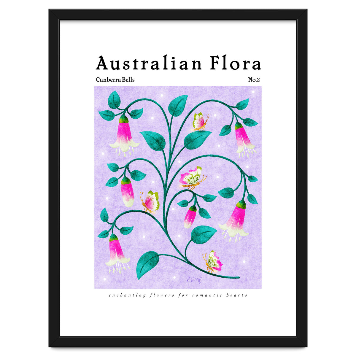 Australian Flora: Canberra Bells