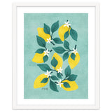 Lemon Blossom thumbnail