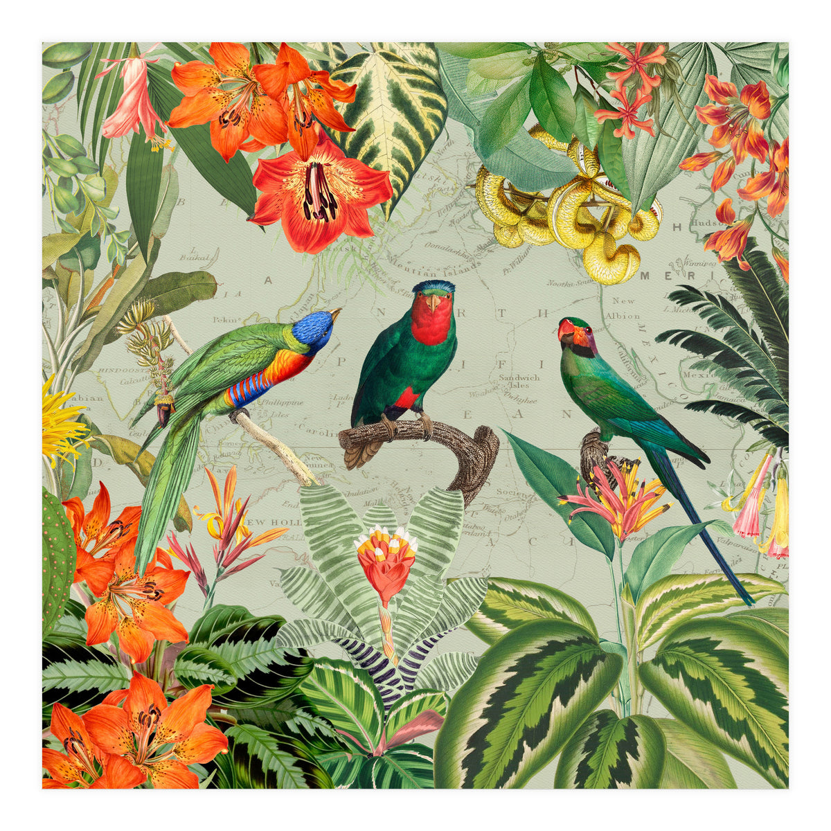 Exotic Parrots Jungle Landscape (Print Only)