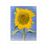 Georgia O’Keeffe – Sunflower, New Mexico (1935) | Bold Modernist Floral Painting Inspired by the American Southwest (Print Only) thumbnail