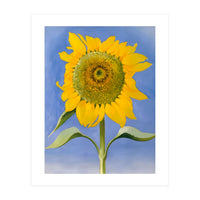 Georgia O’Keeffe – Sunflower, New Mexico (1935) | Bold Modernist Floral Painting Inspired by the American Southwest (Print Only)