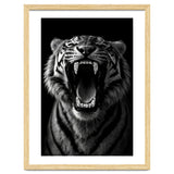 Roaring Tiger portrait thumbnail