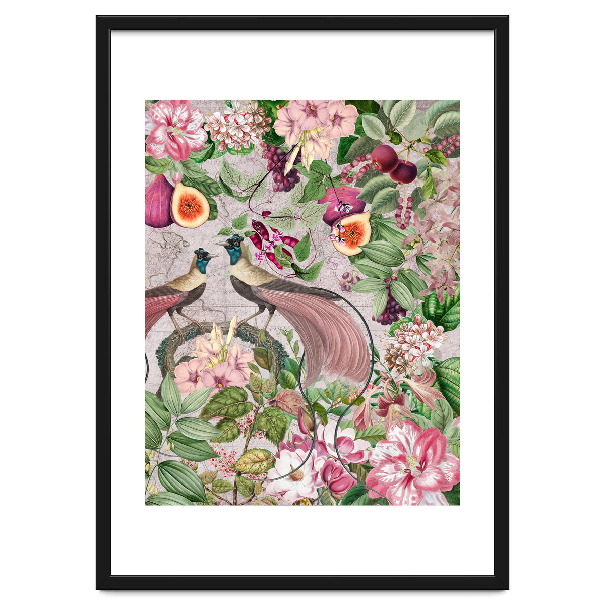 Vintage Birds Of Paradise Jungle