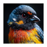 Close Up Of A Colorful Bird In The Wild (Print Only) thumbnail