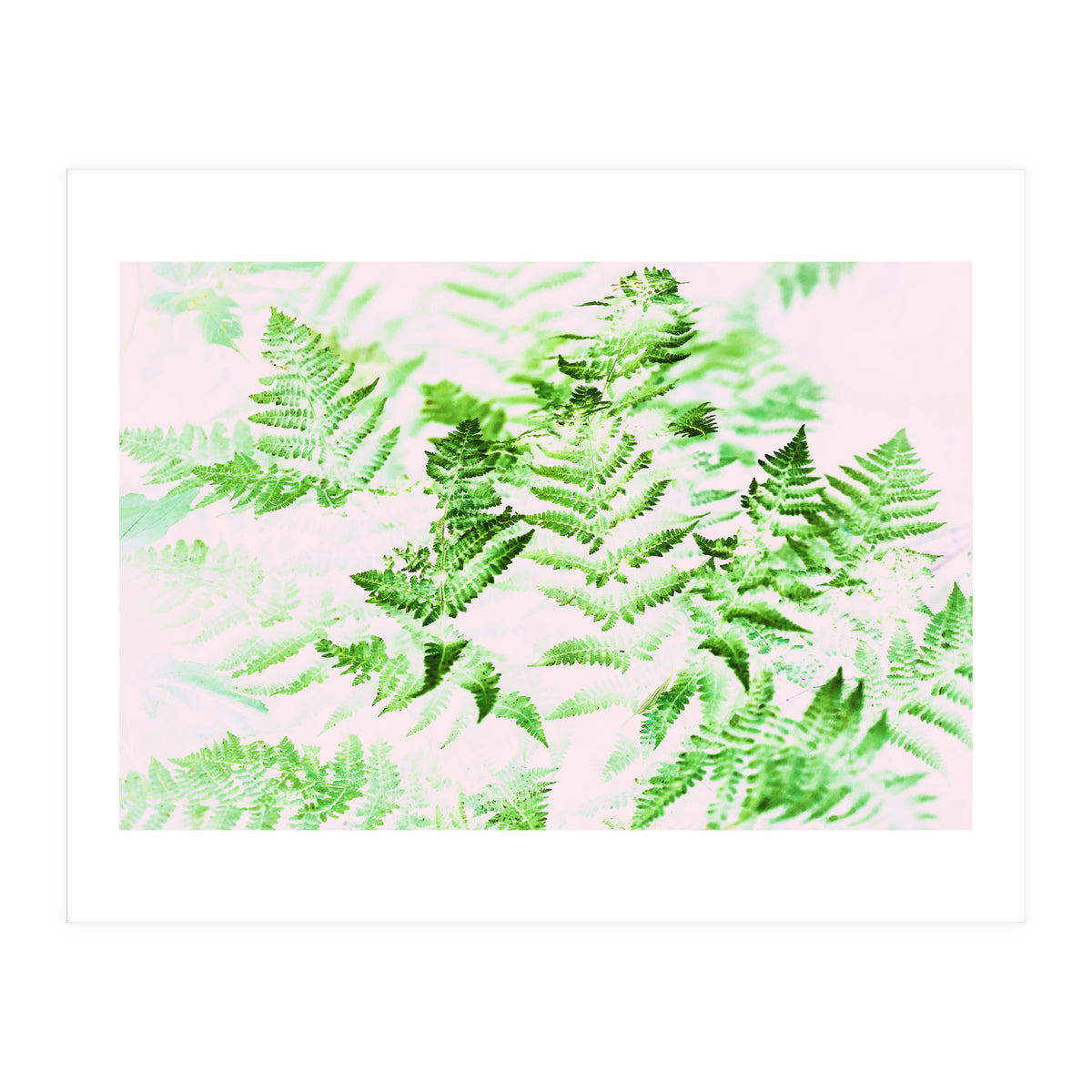 Fern Forest #society6 #decor #buyart (Print Only)