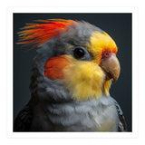 Cockatiel Parrot Closeup Vibrant Feather  (Print Only) thumbnail