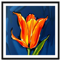 Lily Fresh