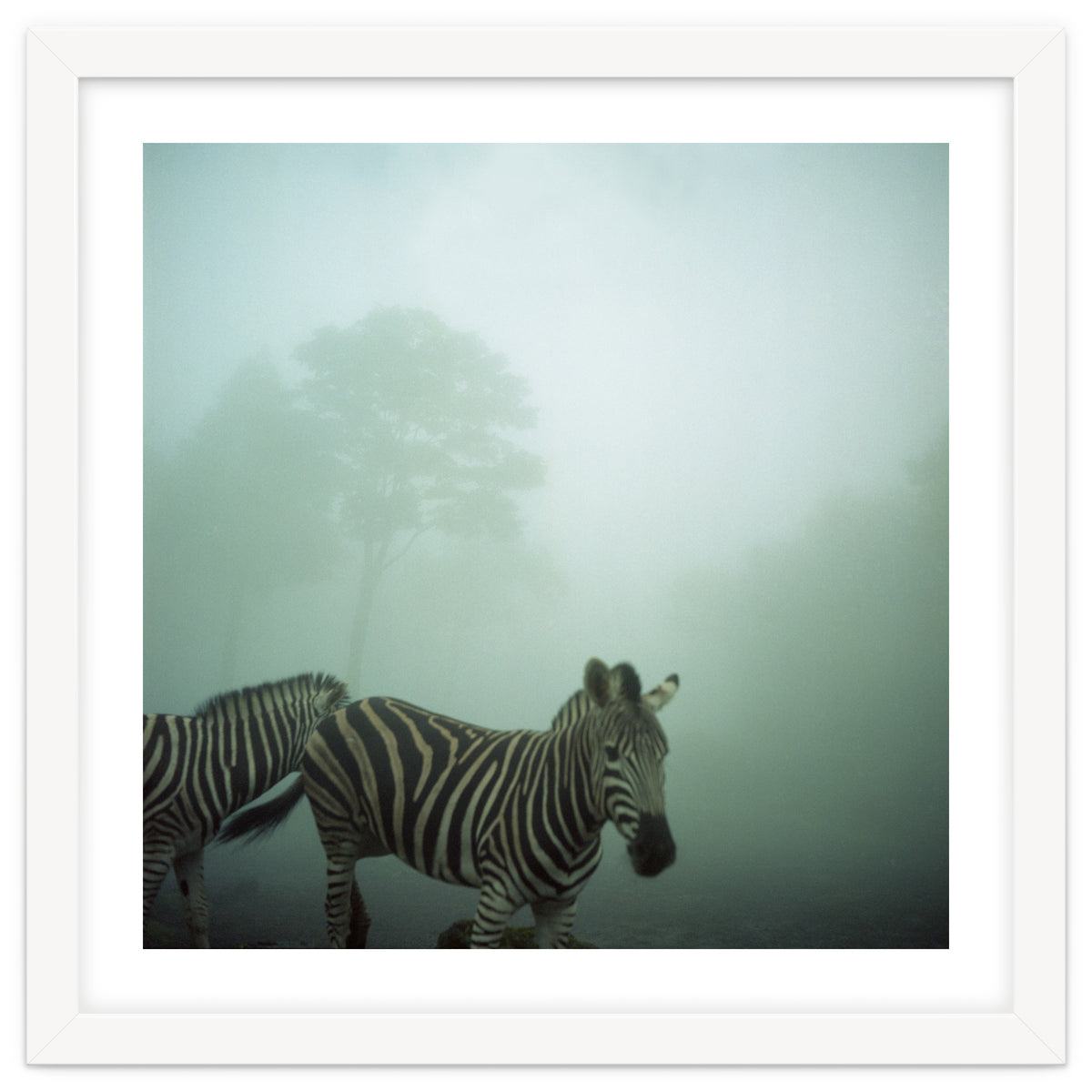 Silence of breath - 16