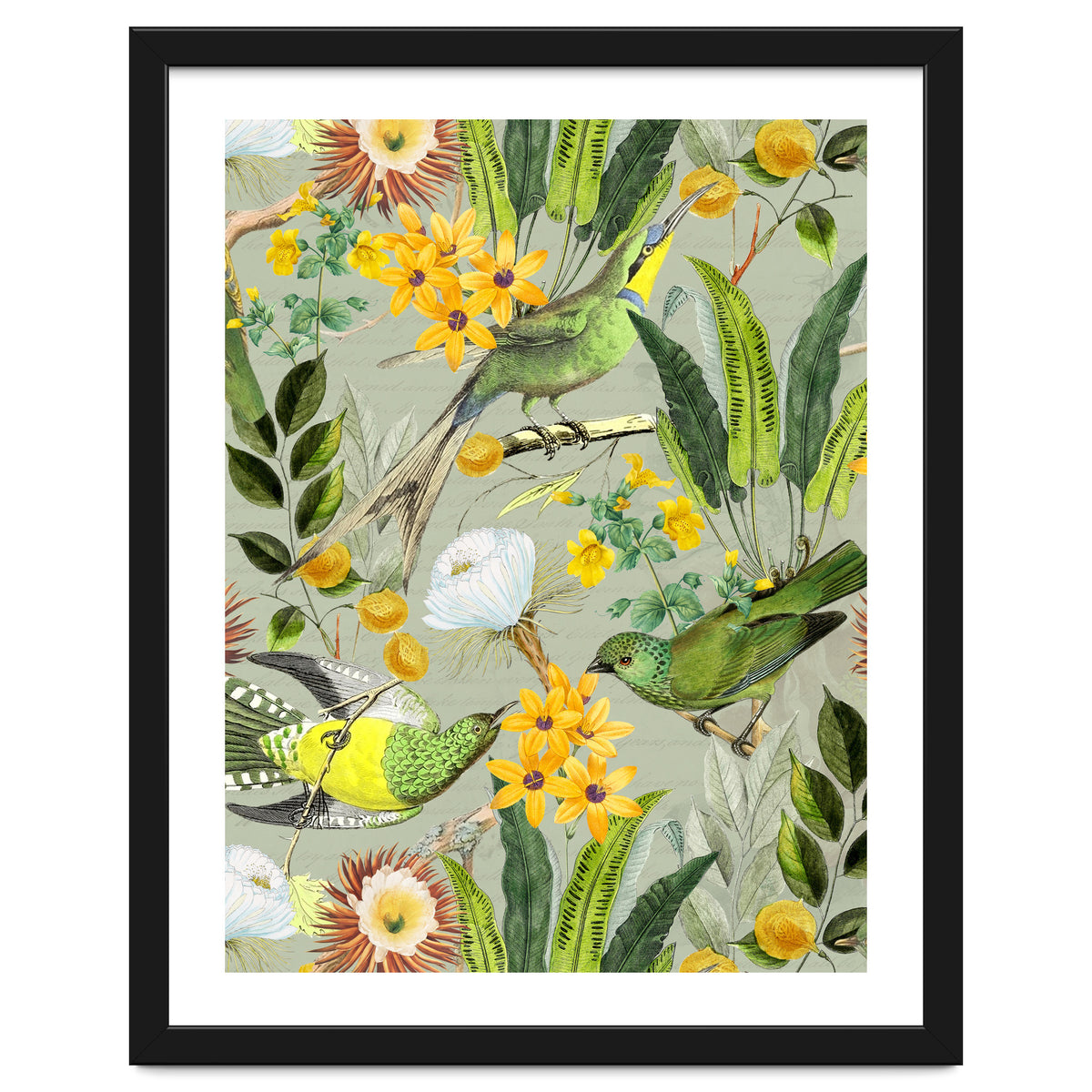 Tropical Birds in Exotic Jungle