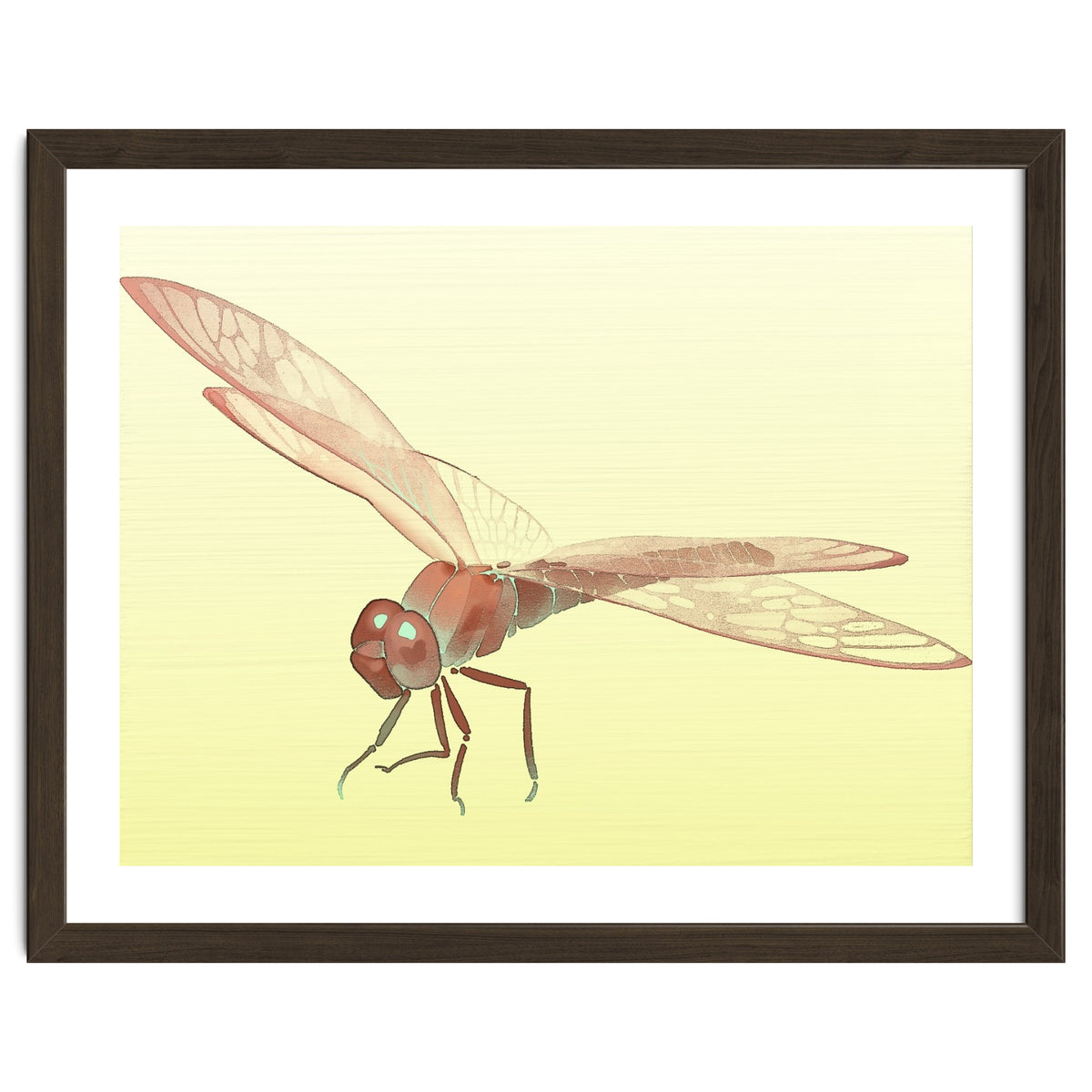 Wings of Transformation