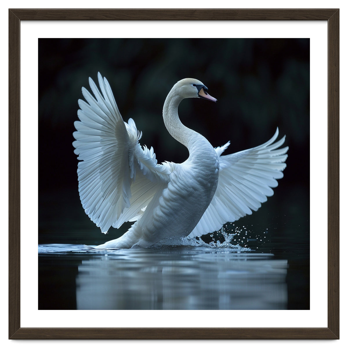 Majestic White Swan Spreading Wings On Water