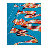 Pennants (Print Only) thumbnail