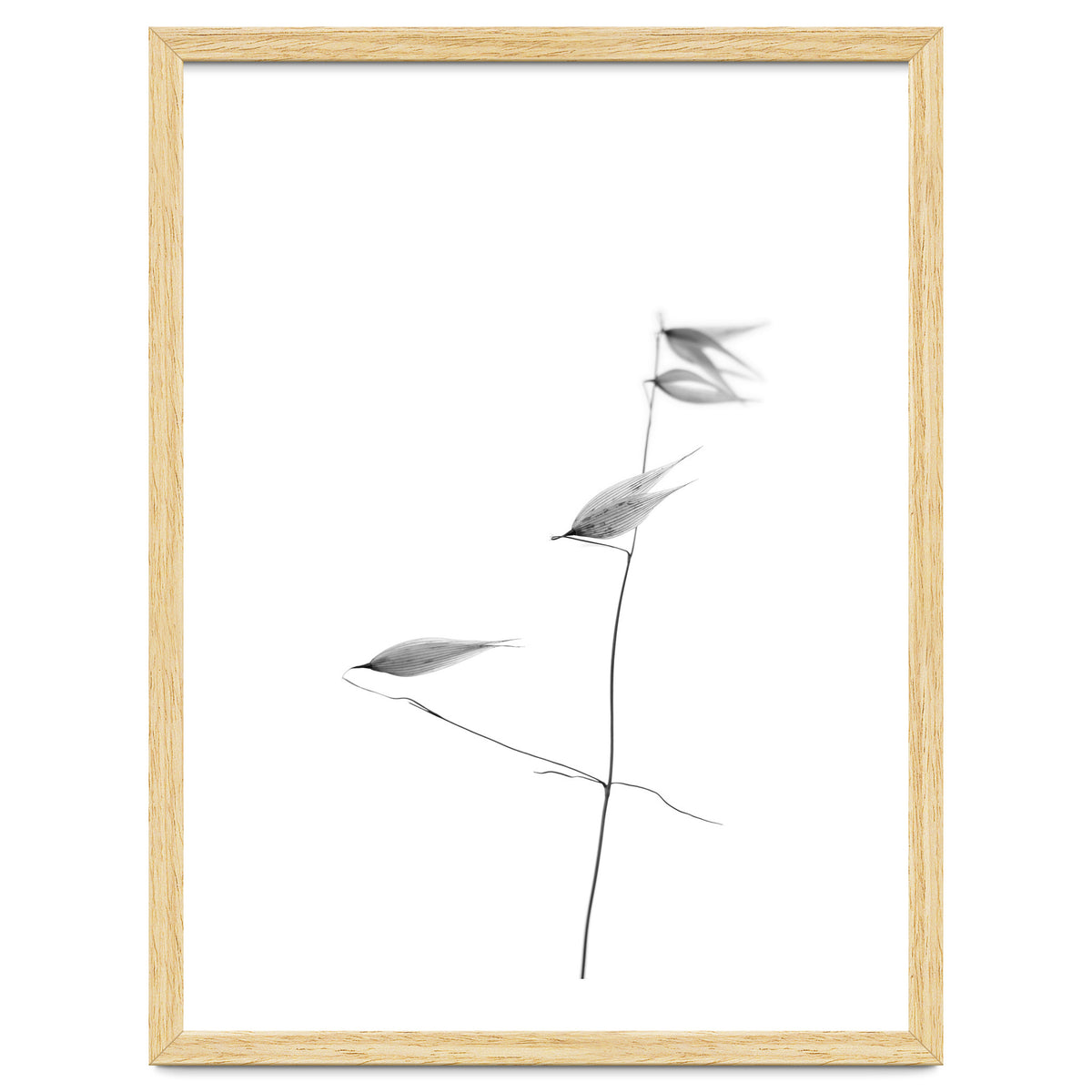 In light of current events IV