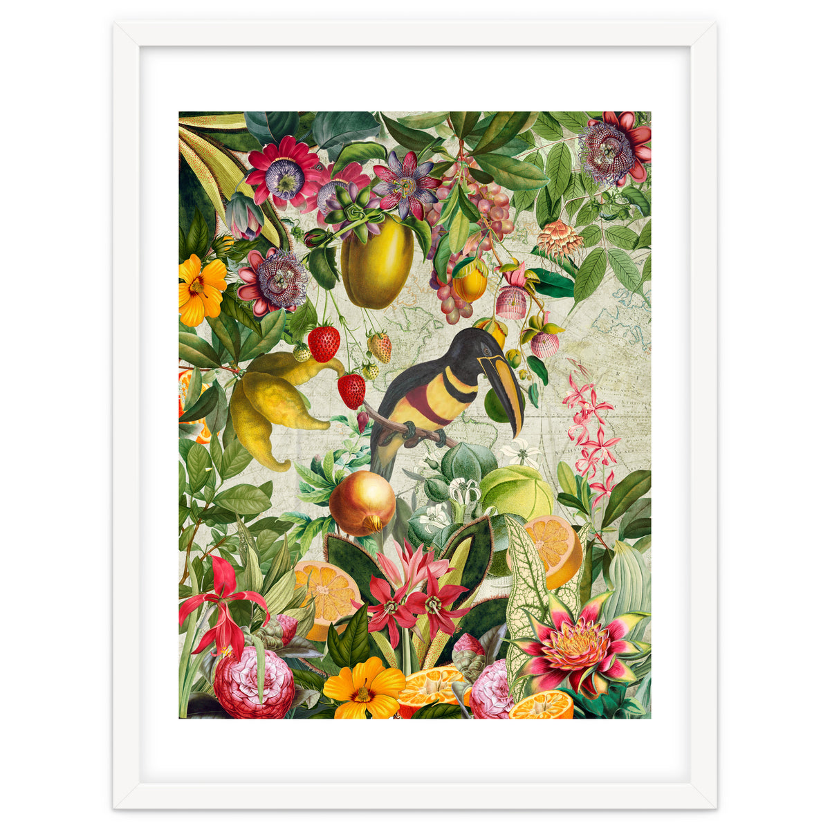 Toucan vintage jungle