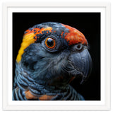 Close Up Of A Colorful Parrot Bird's Head thumbnail