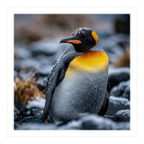 King Penguin In Snow With Water Droplets (Print Only) thumbnail