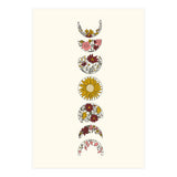 Floral Phases Of The Moon (Print Only) thumbnail