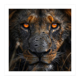 Majestic Lion Face Intense Orange Eyes Close Up (Print Only) thumbnail
